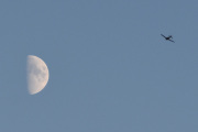 Morten 20 desember 2023 - LN-MAZ og månen over Høyenhall, retningen ser bra ut, dette kan bli nærme