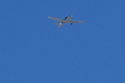 Morten 23 februar 2023 - Småfly over Høyenhall