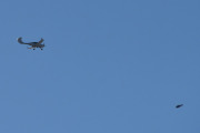 Morten 25 februar 2023 - LN-FTM over Høyenhall, så tar vi et bilde av Mike med en fugl
