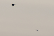 Morten 16 januar 2023 - Diamond DA40-NG over Høyenhall, denne gangen fikk vi med Skjæra
