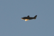 Morten 3 januar 2023 - Småfly over Høyenhall, jeg har to valg når det gjelder deg...