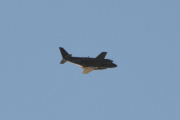 Morten 3 januar 2023 - Småfly over Høyenhall