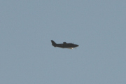 Morten 3 januar 2023 - Småfly over Høyenhall, så kommer du ja. Kan det være en Piper PA-31-350 Navajo Chieftain?