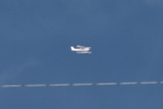 Morten 21 juli 2023 - Sjøfly over Høyenhall, jeg følger Cessna en stund, men fremdeles ikke en fugl på ledningen
