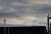 Morten 22 juli 2023 - Diamond DA-40 NG over Høyenhall på kvelden, det er akkurat leggetid og Oslo Flyveklubb flyr over. Jeg kan ikke følge den lenger på grunn av det nye huset som kommer opp