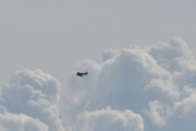 Morten 28 juli 2023 - Småfly over Høyenhall, det er nok Norwegian Spitfire Foundation som er ute med sin LN-TEX North American AT-6G Harvard fra 1944. Skyene var så fine og en liten fugl fikk vi med også