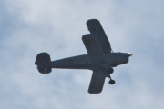 Morten 29 juli 2023 - LN-WNJ over Høyenhall, det var denne som fløy sammen med det andre flyet i sted
