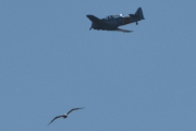 Morten 25 juni 2023 - LN-TEX over Høyenhall, det er derfor jeg må passe litt på, så jeg ikke tar feil av noen fly