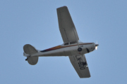 Morten 3 juni 2023 - LN-BDO besøker Høyenhall, det er Gaute som er ute med sin Cessna 170B fra 1956