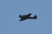 Morten 18 mai 2023 - Norwegian Spitfire Foundation over Høyenhall, men sin North American Harvard T-6G