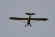 Morten 2 mai 2023 - Veteranfly over Høyenhall, her kom jeg for sent ut. Men jeg tror at det er en Piper L-4 Grasshopper