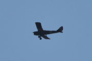 Morten 20 mai 2023 - LN-BDM over Høyenhall, den hadde nummer 145 før, men nå hører jeg enda et fly