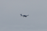 Morten 29 mai 2023 - Diamond DA40NG over Høyenhall