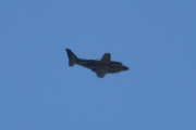 Morten 5 mai 2023 - Piper over Høyenhall