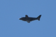 Morten 5 mai 2023 - Piper over Høyenhall, det er i hvert fall en Piper PA-31-350 Navajo Chieftain