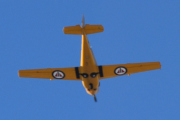 Morten 1 mars 2023 - Gult fly over Høyenhall, men piloten vil ikke vise seg frem