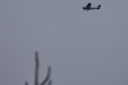 Morten 17 november 2023 - LN-BDL over Høyenhall, det er ikke lett å høre flyene nå, jeg må ha verandadøren lukket