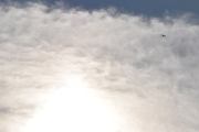 Morten 15 oktober 2023 - LN-KIS over Høyenhall, jeg har fulgt dette flyet siden 14 april 2018, og ser at teksten må korrigeres litt på gamle bilder. Men det fins bare en av han over Høyenhall, så jeg sleit litt med dette flyet