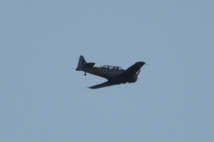 Småfly 2023 september
