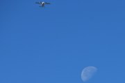 Morten 5 september 2023 - HB-LVS over Høyenhall igjen