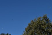 Morten 5 september 2023 - HB-LVS over Høyenhall igjen, men på neste tur fikk vi med den ekte fuglen, midt imellom månen og flyet