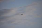 Morten 23 september 2023 - LN-IFI over Høyenhall, klokken er 18.19 og det blir det siste flyet i kveld