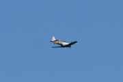 Morten 13 september 2023 - LN-TEX over Høyenhall, det for jeg nok aldri vite...