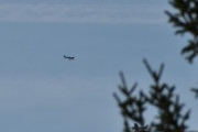 Morten 17 september 2023 - To småfly over Høyenhall, her ser vi Oslo Flyveklubb og Nedre Romerike flyklubb passerer hverandre, det ene flyet er bak treet