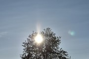 Morten 23 september 2023 - LN-IFI over Høyenhall, da gjemte dem seg bak treet gitt