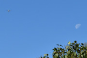 Morten 5 september 2023 - HB-LVS over Høyenhall igjen