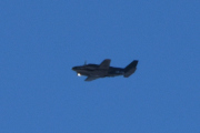 Morten 1 april 2023 - Piper PA-31-350 Navajo Chieftain over Høyenhall, den driver med oppmåling denne også, men jeg må vente til den kommer litt nærmere