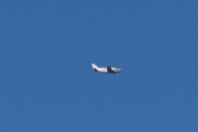 Morten 6 mai 2023 - Småfly over Høyenhall, vanligvis så tar jeg ikke bilder av fly så langt borte. Men det er der borte jeg burde ha vært i dag