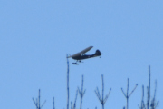 Morten 1 april 2023 - Cessna Birddog over Høyenhall, den flyr lavt, men heldigvis så svinger den