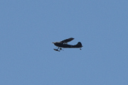 Morten 1 april 2023 - Cessna Birddog over Høyenhall, den har ski på seg, er det Jarle som skal på fjellet?