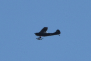 Morten 1 april 2023 - Cessna Birddog over Høyenhall, men det var hyggelig at du kom innom, selv om jeg fikk deg på avstand