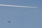Morten 1 april 2024 - LN-EDB over Høyenhall
