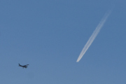 Morten 1 april 2024 - LN-EDB over Høyenhall