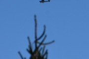 Morten 17 april 2024 - LN-BDL over Høyenhall, jeg fikk ikke med noen fugl denne gangen, men jeg oppdaget at jeg har kalt denne tidligere for LN-BOL, som jeg nå har rettet opp