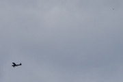 Morten 27 april 2024 - LN-MAV over Høyenhall