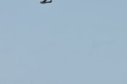 Morten 1 august 2024 - LN-MTH over Høyenhall, det er Sameiet LN-MTH som er ute med sin Cessna 172N Skyhawk 100 II fra 1979. Her fikk vi med låvesvalen også