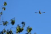 Morten 11 august 2024 - LN-HHS over Høyenhall, nå skal dem sikkert opp til Eggemoen flyplass og gi en oppvisning. Da vet jeg at flyet klarer en loop også