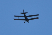 Morten 12 august 2024 - Tiger Moth over Høyenhall