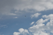Morten 13 august 2024 - LN-PAP over Høyenhall, ikke en fugl i bilde, men jeg må ha litt tid på å finne igjen flyet på mine bilder av småfly