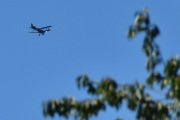 Morten 16 august 2024 - LN-BDM besøker Høyenhall, vi har minst seks Tiger Moth og velge mellom, hvem vil det være?