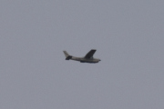 Morten 19 august 2024 - LN-IPR over Høyenhall, jeg er ikke sikker, men jeg har 5 av Cessna nå, som flyr med hjulene oppe