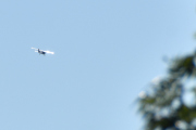 Morten 31 august 2024 - LN-NRF over Høyenhall, det kom ingen fugler på denne turen