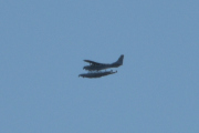 Morten 31 august 2024 - Sjøfly over Høyenhall, den var veldig langt unna. Blir som 9 august 2019, men det er nok en Cessna