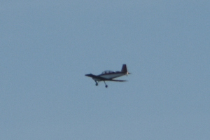 Småfly 2024 desember