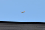 Morten 28 februar 2024 - Saab Safir over Høyenhall