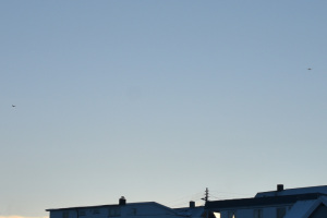 Småfly 2024 januar